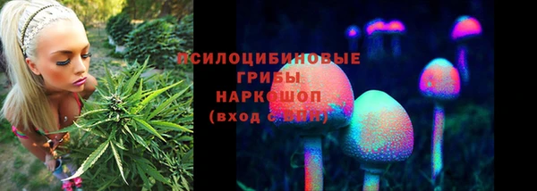 прущий лед Алексин