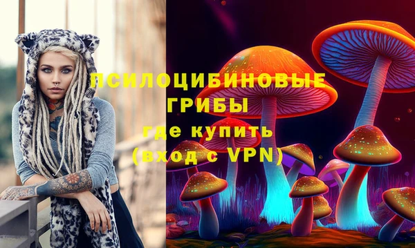 прущий лед Алексин