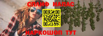 тгк Гатчина