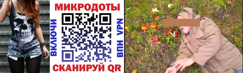 Галлюциногенные грибы Psilocybe  Кызыл 