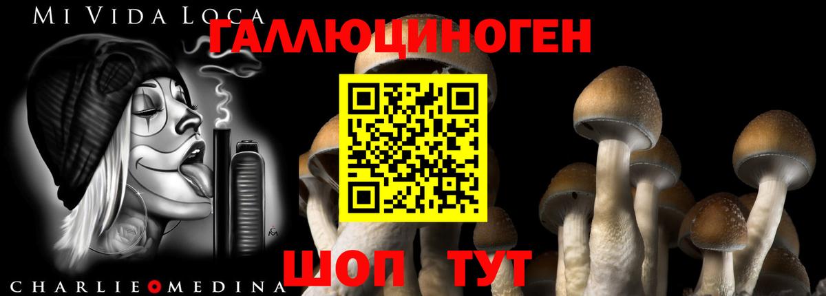 Кызыл  Псилоцибиновые грибы мицелий  Вход с VPN 